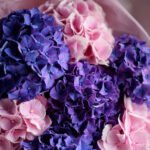 Bukiet Pompon — изображение 5