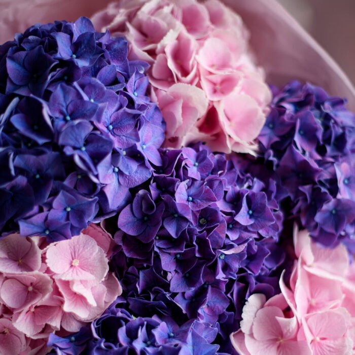 Bukiet Pompon — изображение 5