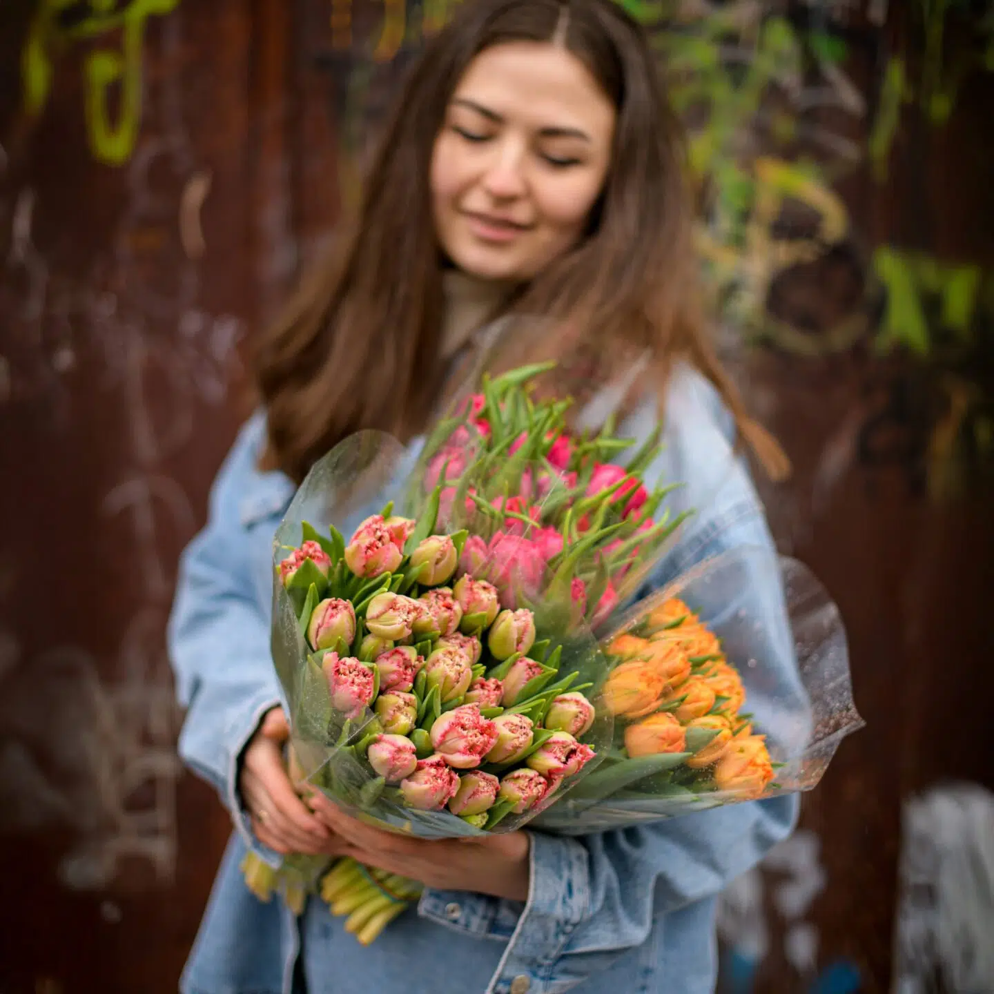 Piwoniowe tulipany luzem — изображение 2