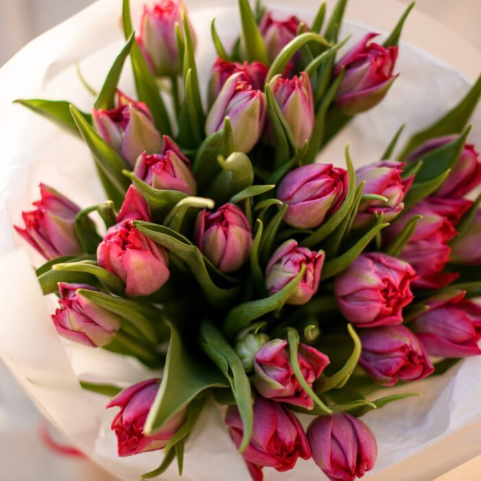 Mono bukiet z piwoniowych tulipanów — изображение 3