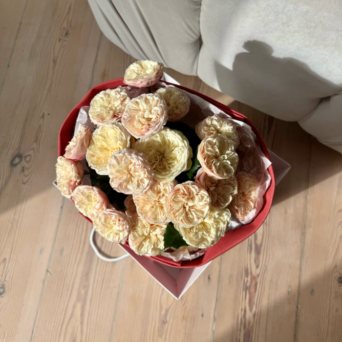 IMG_1411 Mix piwoniowych róż - obrazek 1