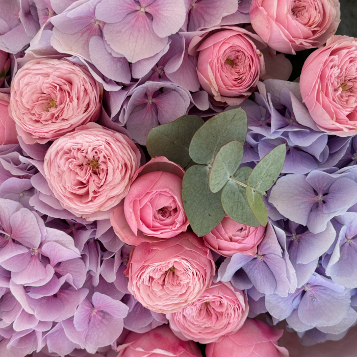 Trio bukiet - (hortensje, piwoniowe róże, eukaliptus) - obrazek 3