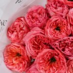 Bukiet piwoniowych róż — изображение 2