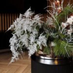 Kompozycje w ceramicznej osłonce - obrazek 3