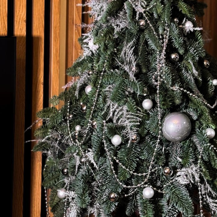 Kompozycje Harmonious Holiday Elegance - obrazek 4