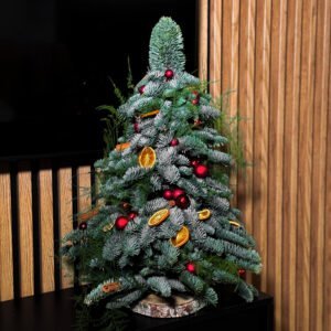 Сhoinka Cinnamon Glow