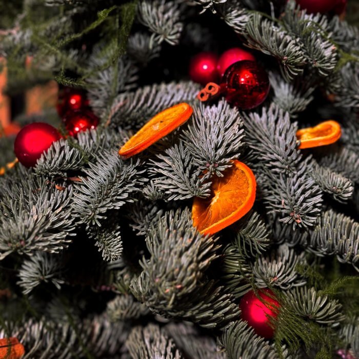 Сhoinka Cinnamon Glow — изображение 2