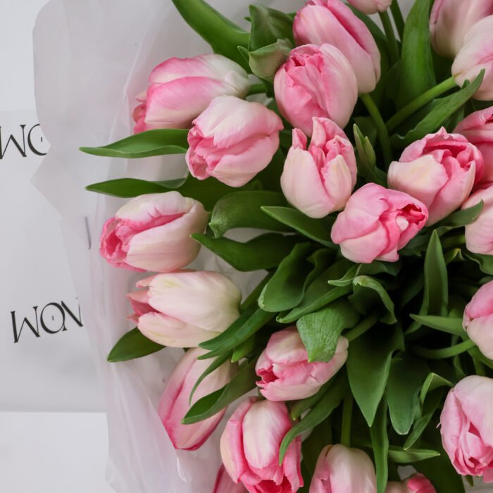 Tulipany zwykłe - obrazek 12