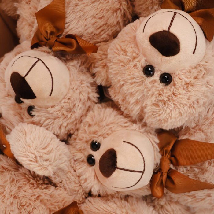 TEDDY — изображение 1