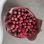 Tulipany zwykłe - obrazek 9