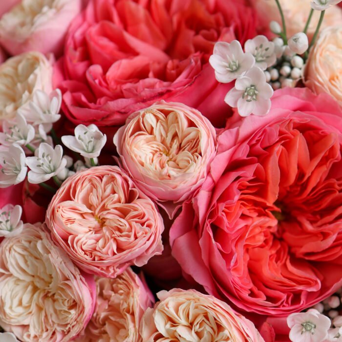 Bukiet z piwoniowych róż i alium - obrazek 2