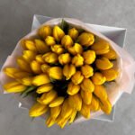 Tulipany zwykłe - obrazek 6