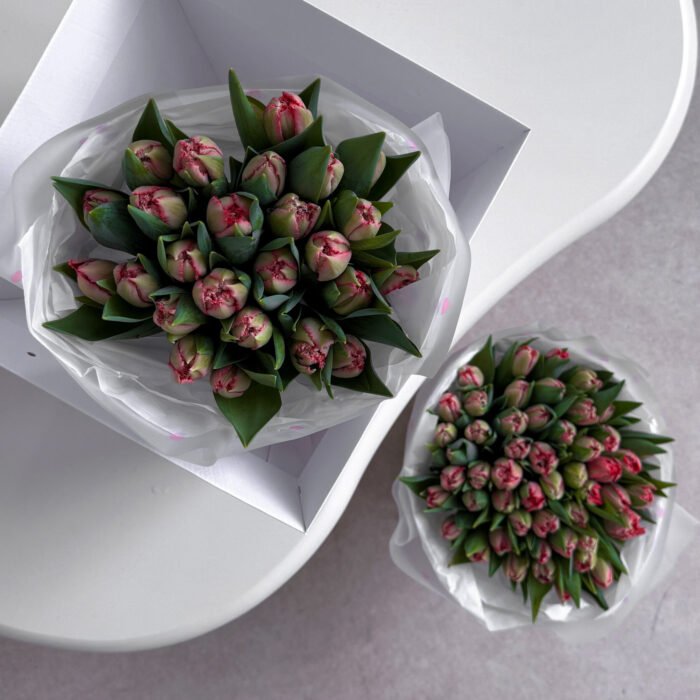 Tulipany piwoniowe - obrazek 3