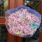 Gipsówka wielokolorowa 25 szt.